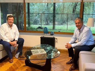 El vacío de la grieta y la oportunidad de los gobernadores