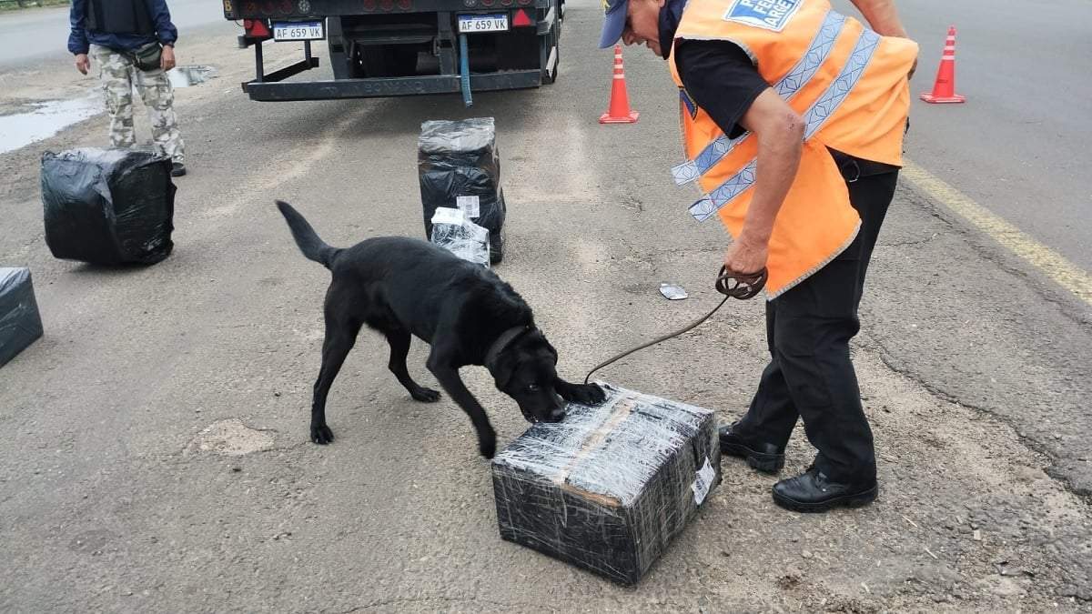 La marihuana viajaba en un transporte de logística. Fuente (Concordia Policiales)