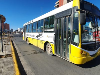 El Pro apoyará la iniciativa del Ejecutivo sobre el transporte público de la ciudad de Neuquén