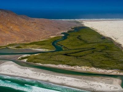 Crece el turismo en México en 2025: Sectur