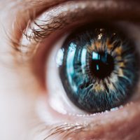 Recuperó la vista gracias a una innovadora terapia