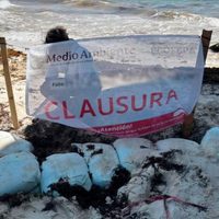 Clausuran obra ilegal en Playa del Carmen promocionada por el exbasquetbolista Eduardo Nájera