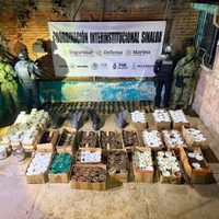 Aseguran en Escuinapa, Sinaloa, más de 550 bombas artesanales y explosivos improvisados