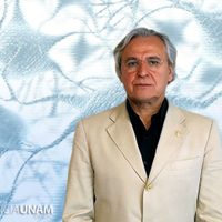 Especialistas de la UNAM crean método para conocer el funcionamiento cerebral