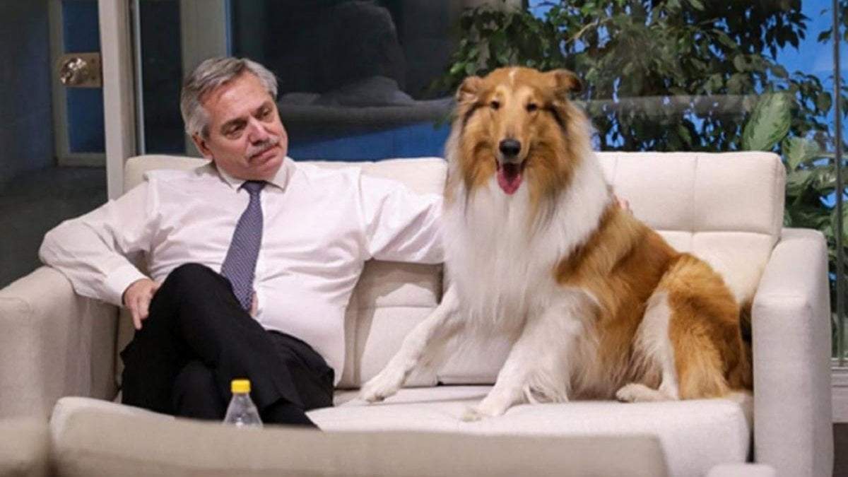 Alberto Fernández y su perro Dylan. Fuente: (Twitter)