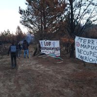 Ataque en Cuesta del Ternero: la comunidad mapuche acusó a empresarios por el incidente letal