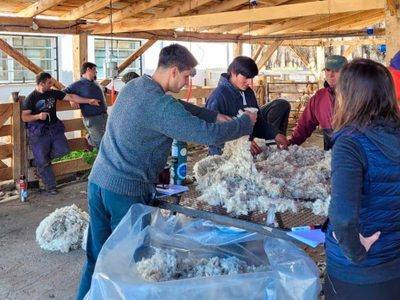 Capacitan en técnicas de esquila preparto de ovinos y caprinos a través del programa PROLANA