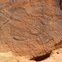 Científicos encuentran grabados rupestres de animales a tamaño natural en desierto de Arabia Saudita