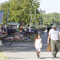 ¡Todo un éxito! El carnaval trajo alegría y levantó el turismo en Neuquén