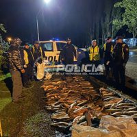 Pesca ilegal: secuestraron 170 truchas en un control en la Ruta 40