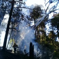 Grave oportunismo en la Comarca Andina tras los incendios
