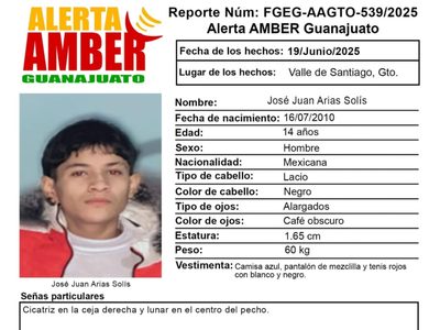 Sedena confirma que sus elementos participaron en detención de joven desaparecido en Guanajuato