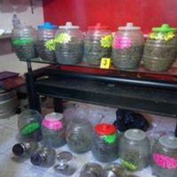 La PGR desmantela narcotiendas en la colonia Morelos y detiene a siete personas