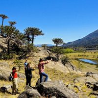 ¡Turismo récord!: Neuquén, con ingresos millonarios...¡Las cifras!