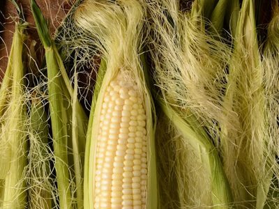 No tires el pelo del choclo: 10 beneficios para tu salud gracias a sus propiedades antiinflamatorias