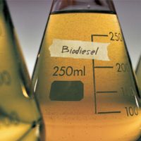 La Secretaría de Energía autorizó el aumento del biodiésel