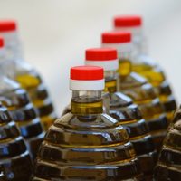 El pequeño tesoro oculto en las tapitas del aceite: qué hacen muchos con ese anillo y por qué vos también deberías hacerlo