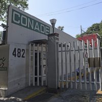 El SAT congela cuentas bancarias de la Conade