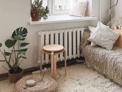 5 plantas muy fáciles de cuidar que se conservarán hermosas en lugares con poca luz