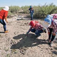 Localizan más de 3 mil restos óseos en el ejido Patrocinio, en Coahuila