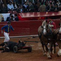 Tribunal revoca freno y da luz verde a las corridas de toros en la Plaza México