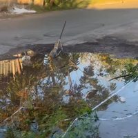 Una persistente pérdida de agua afecta a Guaymallén