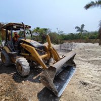Piden a México expediente de hechos sobre irregularidades ambientales del Tren Maya