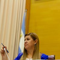 Escándalo en la Legislatura: diputados pidieron iniciar un procedimiento de "inhabilidad moral" para Gloria Ruiz