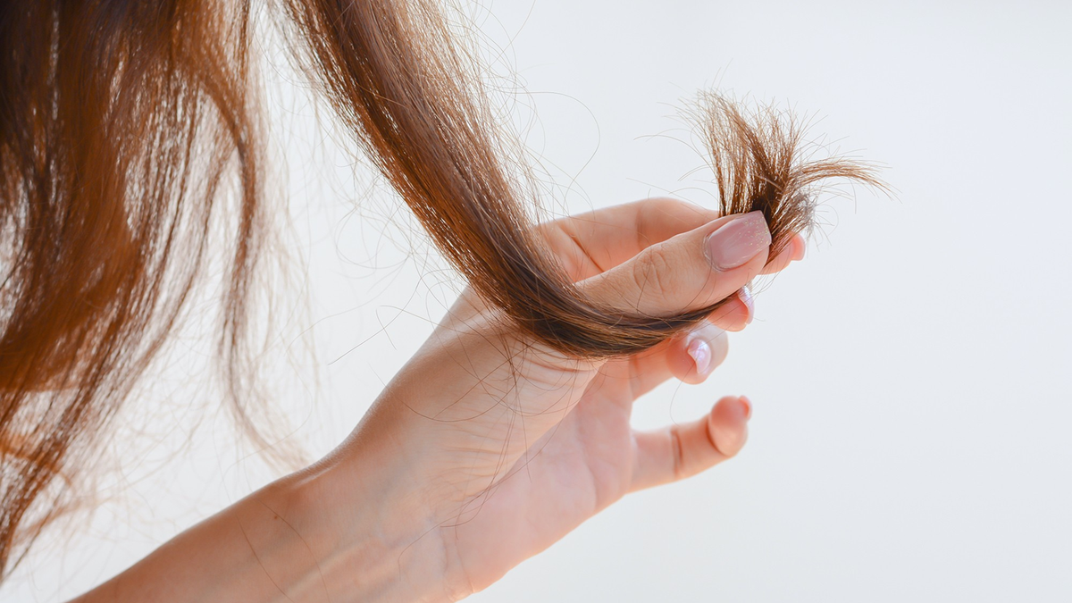 Cabello. Fuente: (X)