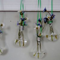 Reciclá focos quemados y convertilos en floreros: un tesoro DIY para tu decoración