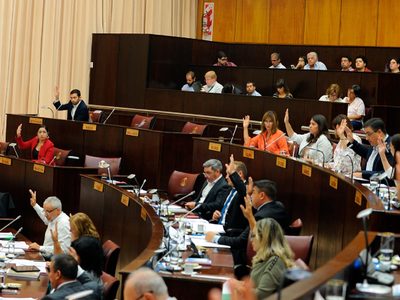 Legislatura de Neuquén: los funcionarios eligieron al vicepresidente segundo