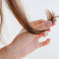No cortes tu cabello, mirá cómo reparar las puntas secas con esta milagrosa pomada que podés hacer en casa