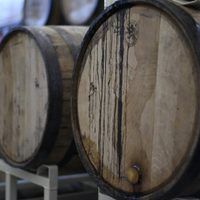 Vitivinicultura: productores y bodegas aseguran que trabajan a pérdida
