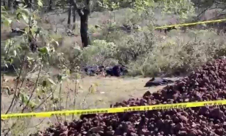 Cuerpos con signos de violencia fueron localizados este fin de semana en Hidalgo