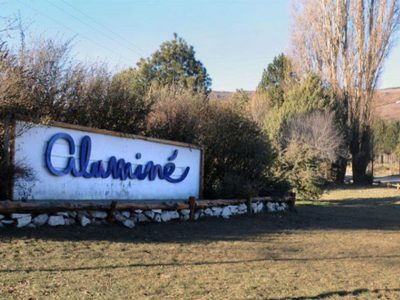 Hidatidosis: un problema de salud humana y ambiental que enfrenta Aluminé