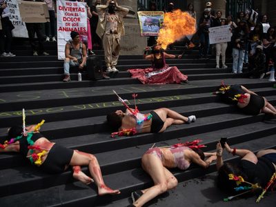 Activistas protestan contra las corridas de toros en el Congreso de la CDMX (Video)