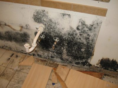 Con 3 ingredientes: el truco para eliminar definitivamente todo el moho de las paredes del baño