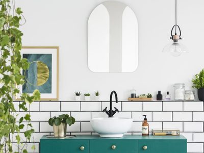 5 plantas perfectas para sorprender con un hermoso regalo en San Valentín