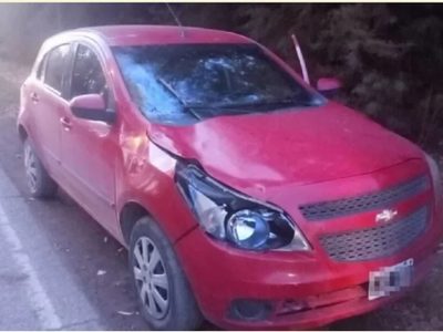 Un caballo cruzó la ruta 7 y fue embestido por un auto en inmediaciones de Vista Alegre