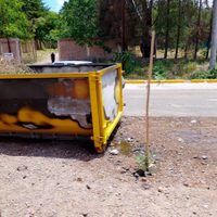 Vandalismo y crueldad: un perro murió quemado tras el incendio de un contenedor