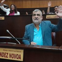 Fernández Novoa: “Seré candidato a diputado nacional y no disputaré ninguna otra candidatura”