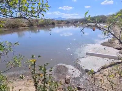 Por daños ambientales piden en Oaxaca retiro de granja porcina