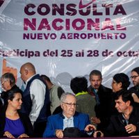 La consulta sobre el NAIM, deficiente, pero legal