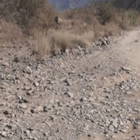 Misión imposible: vecinos denuncian el deplorable estado del camino de ingreso al cerro Arco