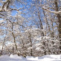 Clima en Neuquén: se viene un miércoles de frío extremo y nieve en la cordillera