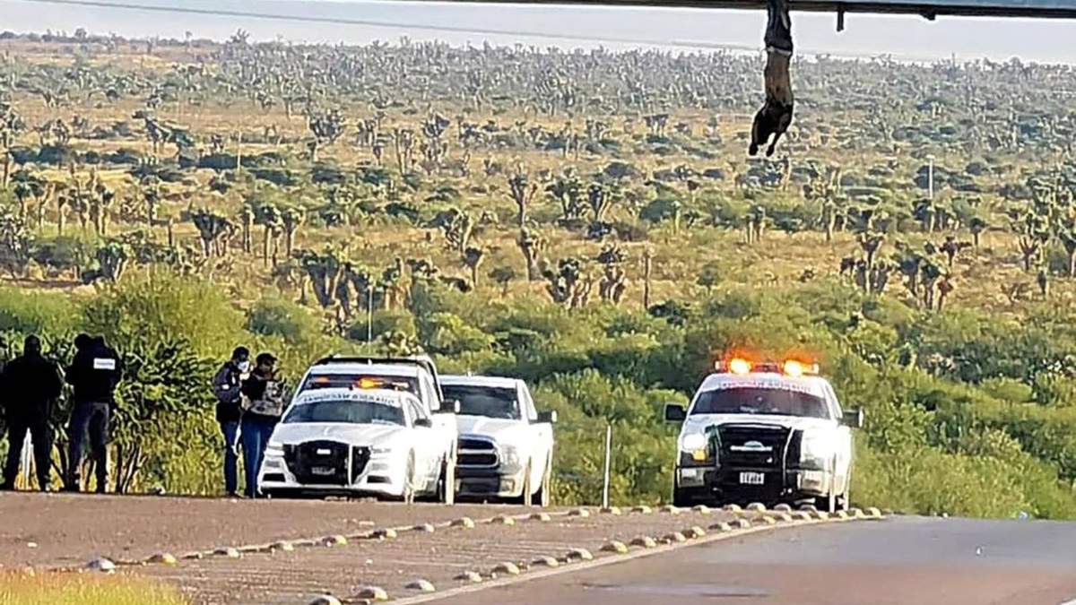 En Zacatecas, la delincuencia estalla