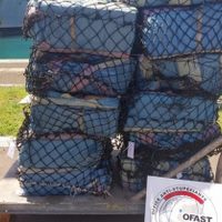 Incautados 524 kilos de cocaína en un pesquero de bandera española en la Polinesia Francesa