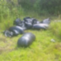 Arrojan docena de bolsas con restos humanos en zona montañosa de Veracruz
