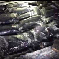 Sonora: la Policía Federal asegura más de 27 kilos de 'crystal” ocultos en un vehículo