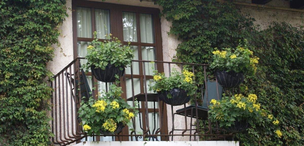 Estas plantas son la mejor compañía que podés tener en tu balcón. Fuente: (Instagram)